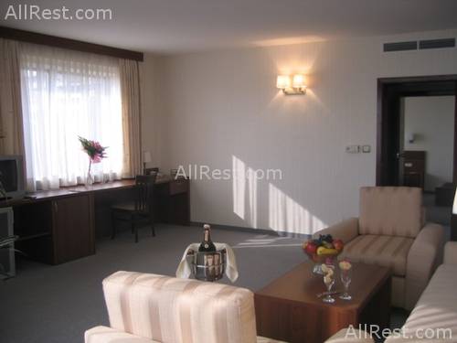 Best Western Park Hotel 15
